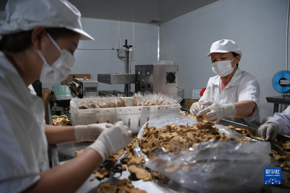 德州扑克大赛版网页版